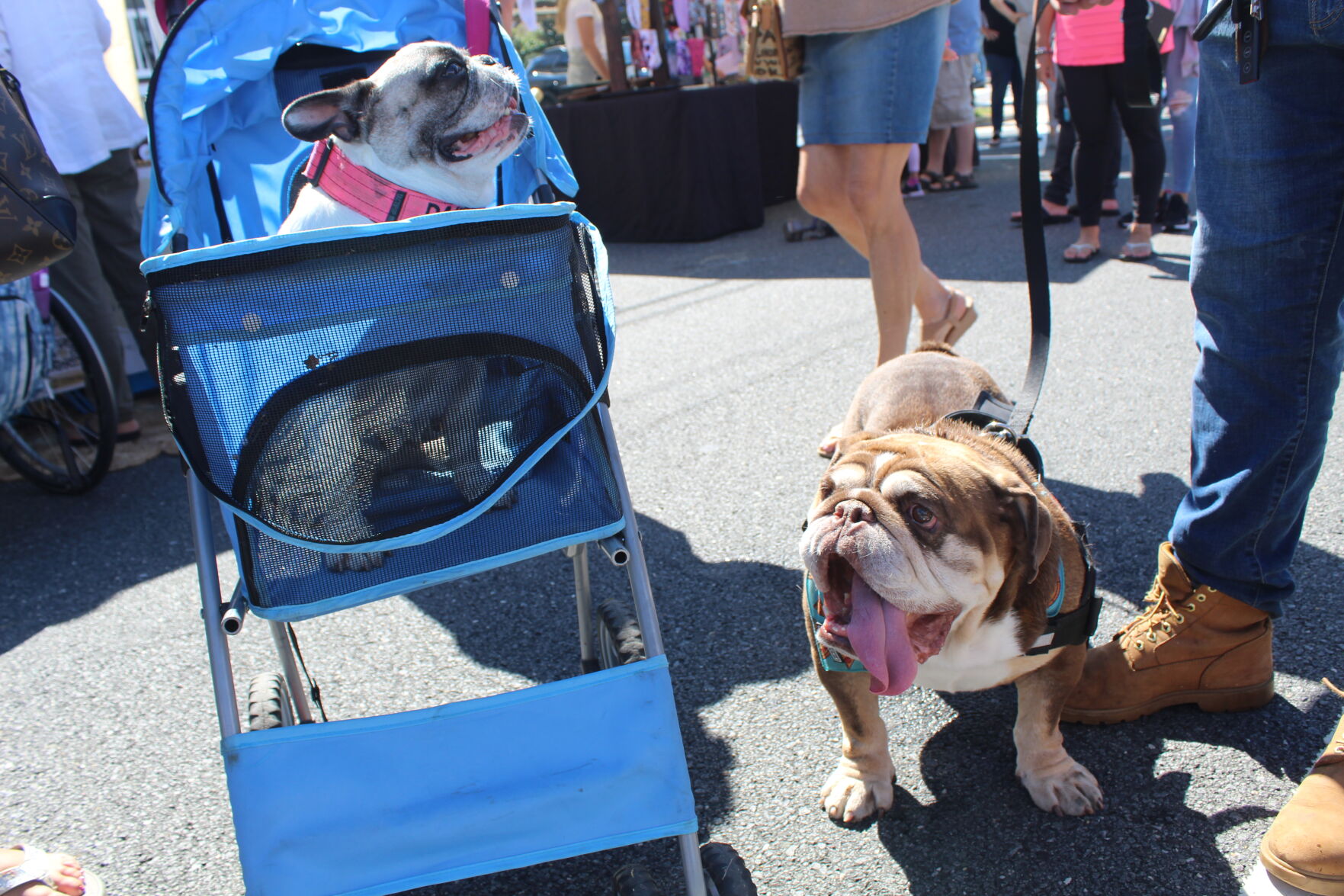 Margate Fall Funfest By The Bay_6009.JPG